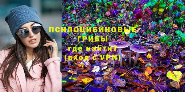 винт Майский