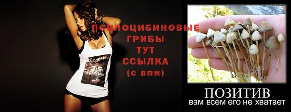 хмурый Магас