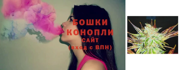 стаф Магадан
