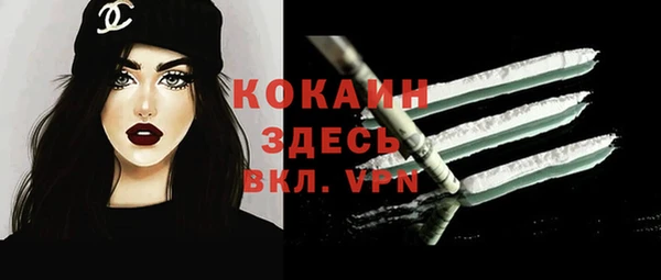 индика Аша