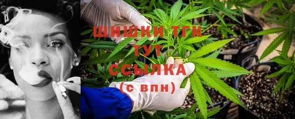 хмурый Магас