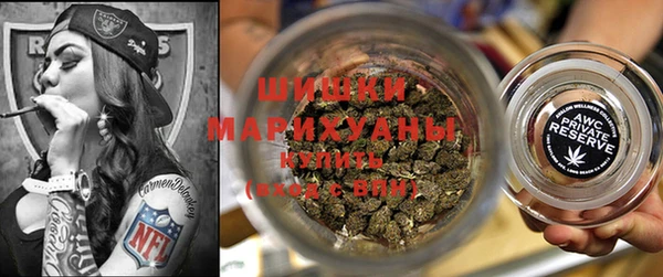 хмурый Магас