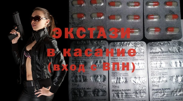 хмурый Магас