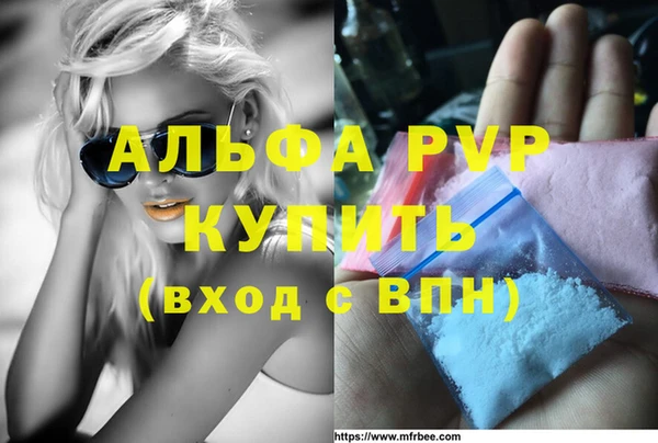 хмурый Магас