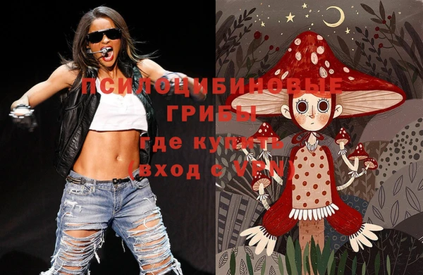 хмурый Магас