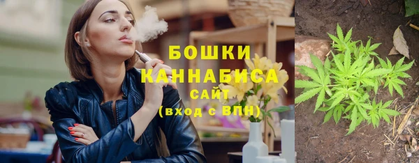 хмурый Магас