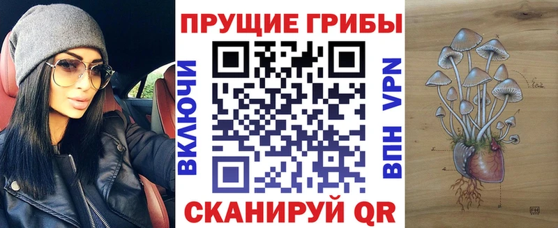 Псилоцибиновые грибы Psilocybine cubensis Нелидово